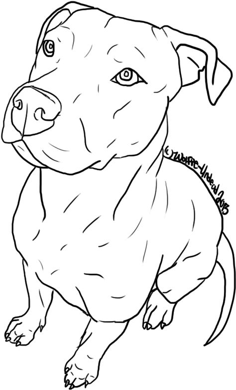 Bull Lineart, Pit Bull Drawing, Pitbull Drawing, Pitbull Tattoo, Pitbull Art, Pitt Bull, Bull Tattoos, Tattoo Outline Drawing, Dog Line