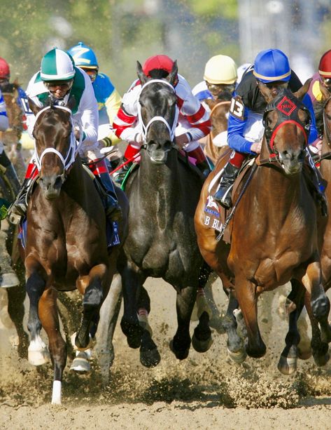 "She ran with the heart of a locomotive, on champagne-glass ankles" ~ sportswriter Sally Jenkins. Eight Belles, center, who came in second at the 2008 Kentucky Derby, broke down approximately a furlong after the wire while slowing down. She suffered irreparable compound fractures of both front ankles and was immediately euthanized. Critics have accused the horse racing industry for breeding for speed rather than soundness—Thoroughbred horses have become too strong with bones too lightweight. Birthday Elegant, Jockey Club, Thoroughbred Horse Racing, Sport Of Kings, Thoroughbred Horse, Horse Crazy, Elegant Flowers, Thoroughbred, Horse Painting