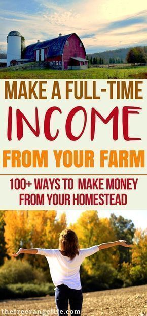 Learn how to make money from home with your homestead. 100+ ideas on how to create a full time income at home using your skills and land. Homesteading | Self Sufficiency | Homesteading DIY Self Sufficiency, Homesteading Diy, Homestead Farm, Farm Business, Homestead Gardens, Homesteading Skills, Homestead Living, Urban Homesteading, Mini Farm