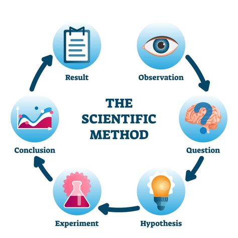 The steps to the scientific method! #learning #scietificmethod #science #idt3600 Scientific Method Steps, Science Inquiry, Science Equipment, The Scientific Method, Experimental Design, Scientific Articles, Perfect Circle, Diagram Design, Science Fair Projects