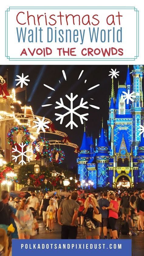 Disney World In December, Christmas At Disney World, Planning Pictures, Disney World Crowd Calendar, Vacation Recipes, Christmas At Disney, Disney Florida, Disney Christmas Shirts, Orlando Disney