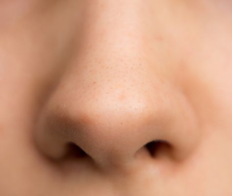 Genes for nose shape found -- ScienceDaily Nose Reference, Pretty Nose, Wide Nose, Perfect Nose, Small Nose, Button Nose, Nose Shapes, Big Noses, Nose Job