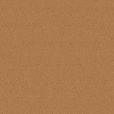 Light Caramel Brown, Fall Ios, Office Seating, Caramel Brown, Performance Fabric, Fabric By The Yard, Fabric Color, Rv, Caramel