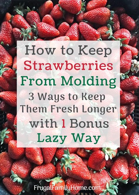 How To Store Strawberries, Storing Fruit, Storing Vegetables, Fruit And Vegetable Storage, Fruit Storage, Food Info, Food Facts, Strawberry Recipes, Canning Recipes