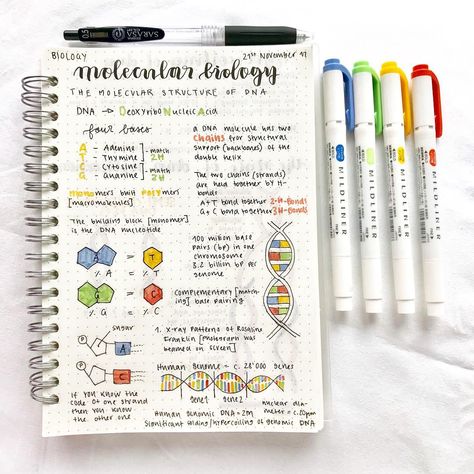 Colourful Notes, Notes School, Back To University, School Highschool, Study Biology, College Notes, Bullet Journal Notes, School Organization Notes, Science Notes