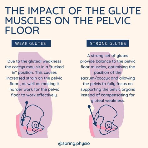 Graphic to demontrate the impact of weak and strong glute muscles on the pelvic floor Pelvic Floor Muscles Anatomy, Weak Pelvic Floor Exercise, Weak Pelvic Floor Symptoms, Hypertonic Pelvic Floor, Ankle Rehab Exercises, Weak Glutes, Pelvic Floor Physical Therapy, Pelvic Floor Muscle Exercise, Glute Muscles