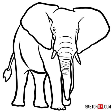 How to draw an Elephant front view | Wild Animals Elephant Line Drawing, Easy Elephant Drawing, Elephants For Kids, Elephant Coloring, Elephant Coloring Page, Elephant Colour, Long Division, Elephant Pictures, Kid Coloring Page