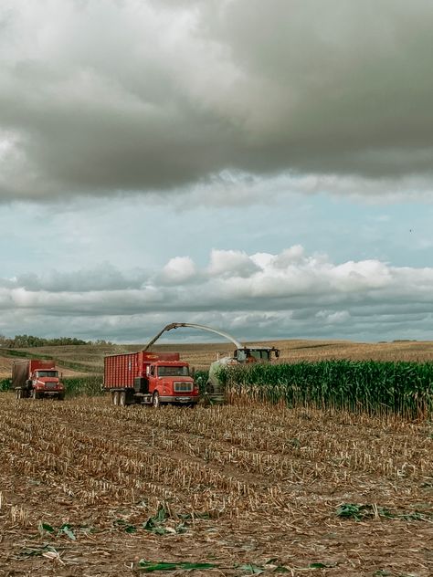 Farming Wallpaper, Corn Harvest, Field Corn, Western Wallpaper, Harvest Farm, Corn Field, Farm Lifestyle, Farm Photography, Rodeo Life