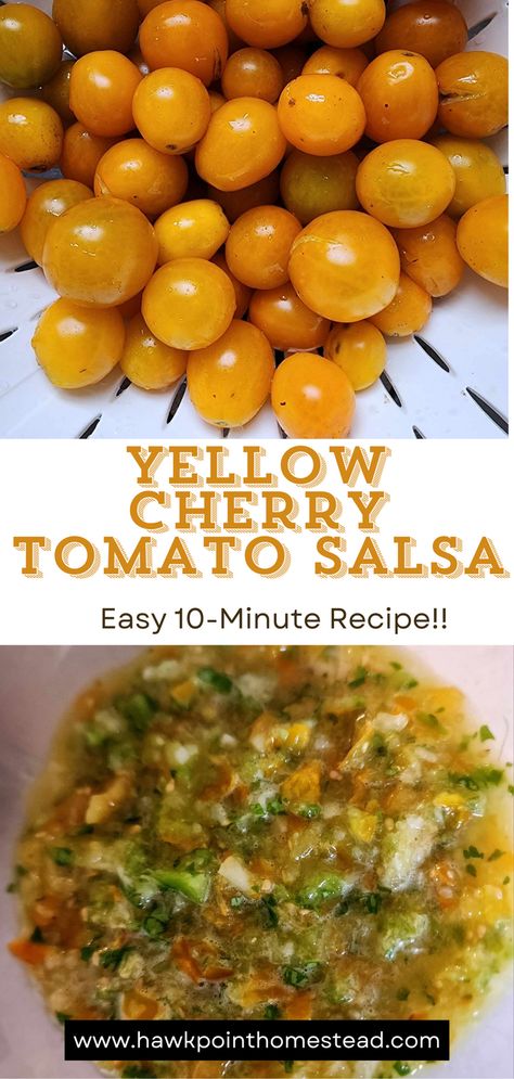 Salsa With Yellow Tomatoes, Yellow Cherry Tomato Salsa, Yellow Tomato Recipes Salsa, What To Make With Yellow Tomatoes, Salsa With Cherry Tomatoes Recipe, Orange Cherry Tomato Recipes, Yellow Cherry Tomato Recipes, Yellow Tomato Recipes, Yellow Tomato Salsa