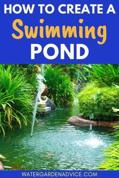 How To Create A Natural Swimming Pond - Water Garden Advice Natural Backyard Pools, Art Creative Ideas, Swim Pond, Swimming Ponds, Swimming Pool Pond, Building A Pond, Natural Swimming Ponds, Garden Pond Design, Diy Pond