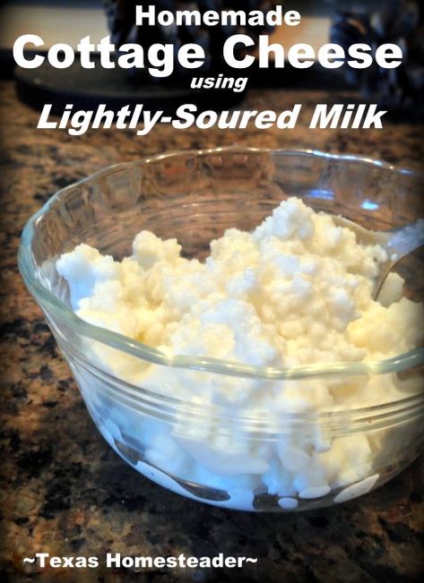 What To Do With Sour Milk, Sour Milk Recipes, Make Cottage Cheese, Milk Cakes, Homestead Hacks, Homesteading Inspiration, Homemade Cottage Cheese, Cheese Recipes Homemade, Ricotta Recipe