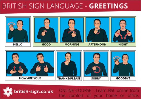 British Sign Language - Greetings everyone should know British Sign Language Alphabet, Learn Bsl, Baby Sign Language Chart, Sign Language Basics, Makaton Signs, Sign Language Chart, Sign Language Lessons, Sign Language Phrases, Greeting Sign