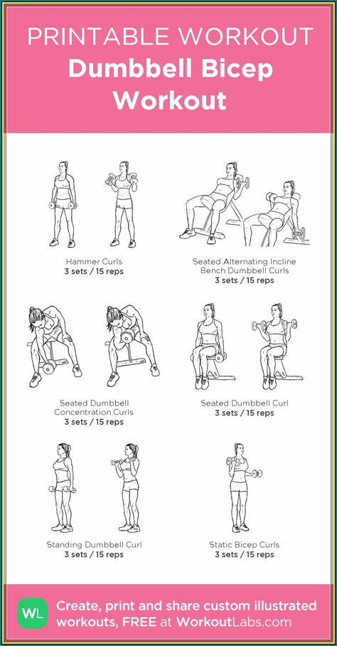 (ad) Best Arm Exercises For Women Arm Machine Workout, Dumbbell Bicep Workout, Postpartum Workouts, Bicep Workout, Home Workout Plan, Dumbbell Curls, Arm Workout Women, Arm Machine, Gym Workout Chart