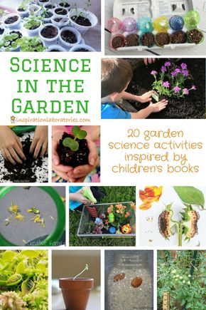 I love this collection of garden science activities inspired by children's books Garden Science, Garden Unit, Preschool Garden, Plant Activities, Garden Activities, Nature School, Kids Garden, Science Activities For Kids, Outdoor Classroom