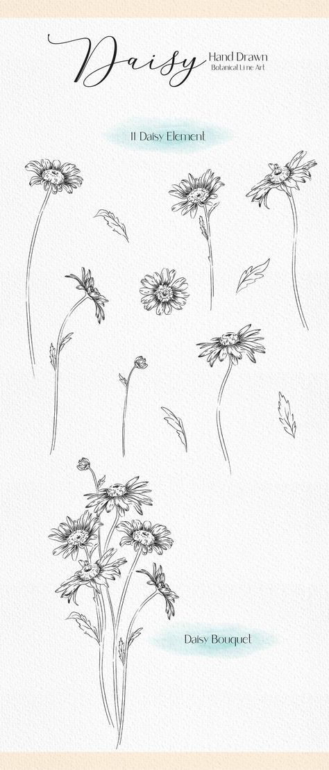 Line drawing daisy clip art daisy flower svg botanical image 1 Daisy Drawing Reference, Tall Flower Drawing, Line Drawing Daisy, Daisy Line Drawing, Daisy Line Art, Daisy Sketch, Drawing Daisy, Daisy Flower Drawing, Flowers Line Drawing