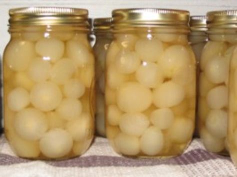 These silver skin onions are supberb when finished. It does take time if you can do it and you will be rewarded. This recipe was given to me by my mother over 40 years ago. It takes 7 days of a short time each day to achieve great results. Pickled Silverskin Onions, Pickle Shrimp, Pickled Pearl Onions Recipe, Pearl Onion Recipe, Canned Recipes, Pickled Things, Onions Recipes, Pickled Recipes, Pickle Onions Recipe