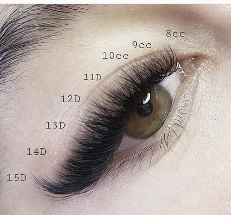 Fox Eye Eyelash Extensions, Fox Eye Lash Extensions, Cat Eye Lash Extensions, Lash Maps, Eye Lash Extensions, Lash Mapping, Lashes Tutorial, Lashes Fake Eyelashes, Eyelash Tips