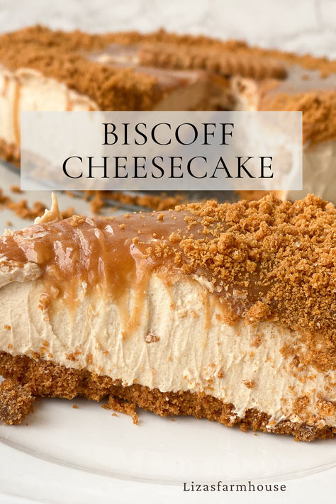 No Bake Cheesecake Biscoff, Caramel Biscoff Cheesecake, Biscoff No Bake Cheesecake, Biscoff Cheesecake No Bake, Biscoff Desserts, No Bake Biscoff Cheesecake, No Bake Biscoff, Biscotti Cheesecake, Pecan Sticky Buns