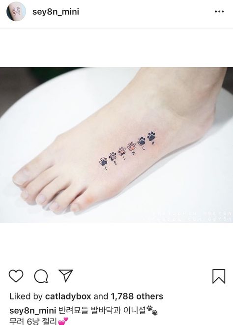 4 Paws Tattoo, 5 Cat Tattoo, Dog Paw Initial Tattoo, 2 Dogs 1 Cat Tattoo, Simple Cat Paw Tattoo, Discreet Cat Tattoo, Cat Name Tattoo Ideas, 5 Cats Tattoo, Cat Tattoo With Paw Prints