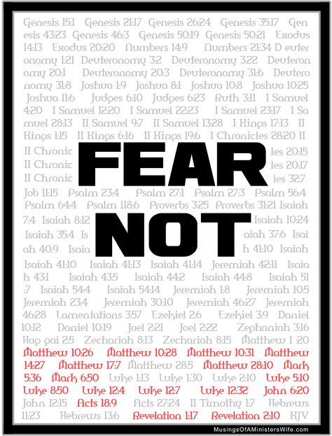 So How Many Times is "Fear Not" Actually in the Bible? 114 times Fear Quotes, Essay Examples, Second Chances, Do Not Fear, God Almighty, Christian Faith, Bible Scriptures, Faith Quotes, Bible Journaling