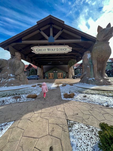 Great Wolf Lodge Aesthetic, Lodge Aesthetic, 12 Birthday, Ultimate Packing List, Wolf Lodge, Turn Your Life Around, Great Wolf Lodge, Star Christmas, Book Aesthetics