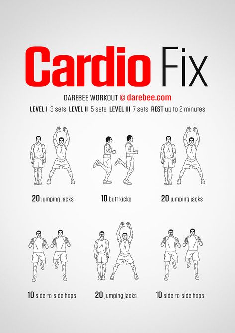 How to Cardio-Fix Your Body: The Ultimate Workout - Infographic Workout Infographic, Darebee Workout, Beginner Cardio Workout, Ladder Workout, Beginners Cardio, Army Workout, Hiit Benefits, What Is Hiit, Isometric Exercises