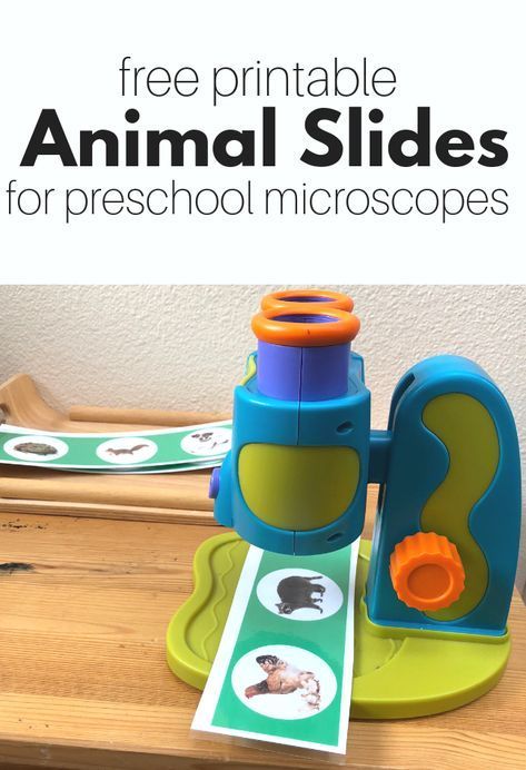 Free printable animal slides for your preschool microscope. A great resource for preschool science center or homeschool science activity. Preschool Science Center, Science Center Preschool, Pre-k Science, Bubble Activities, Preschool Science Activities, Farm Preschool, Preschool Centers, Science Activity, Math Center Activities