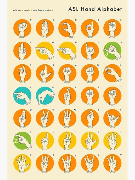 American Sign Language Hand Alphabet Asl Basics, Hand Alphabet, Asl Sign Language Words, Sign Language Art, Sign Language Chart, Sign Language Lessons, Sign Language Phrases, Alphabet Art Print, Alphabet Signs