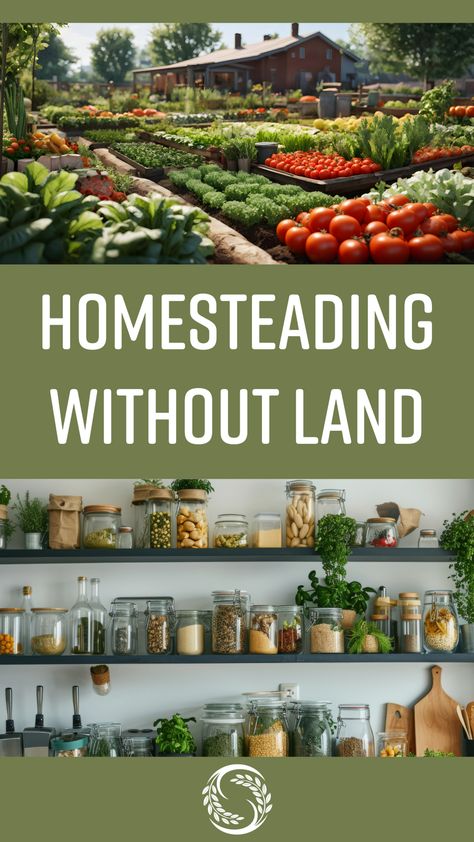 🌿 Dreaming of homesteading but don't have land yet? We're in the same boat! See how we're preparing for our future farm and embracing the homesteading lifestyle while we wait. #HomesteadingWithoutLand #FarmLifeDreams #SeasonallyHomemade

https://seasonallyhomemade.com/homesteading-without-land/ Homesteading Without Land, Micro Homesteading, Micro Homestead, Homesteading For Beginners, Composting Food Scraps, Dreams For The Future, Witchy Garden, Off Grid Homestead, Micro Farm