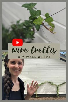 Wire For Climbing Plants, Wall Climbing Plants Outdoor, Ivy Trellis Wall, Wire Trellis Diy, Diy Vine Wall, Trellis Ideas Diy Climbing Vines, Berry Trellis, Indoor Ivy, Ivy Trellis