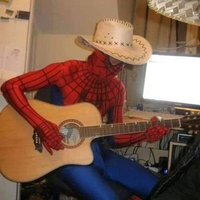 Guitar Icon, Spiderman Meme, Spiderman Funny, Spiders Funny, League Memes, Spiderman Theme, Spaider Man, Batman Spiderman, Spiderman 3