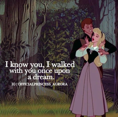 "I know you, I walked with you once upon a dream." Princess Aurora and Prince Phillip I Know You I Walked With You Once Upon, Princess Bridal Shower Ideas, Princess Aurora And Prince Phillip, Sleeping Beauty Quotes, Princess Bridal Shower, Aurora Aesthetic, Fairytale Quotes, Cinderella Wallpaper, Funny Princess