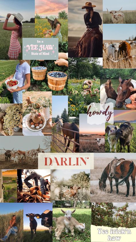 Yee Haw Aesthetic, Granola Girl Style, Magical Photos, Aesthetic Shuffles, Favorite Wallpaper, Horse Aesthetic, Yee Haw, Spring Wallpaper, Winter Love