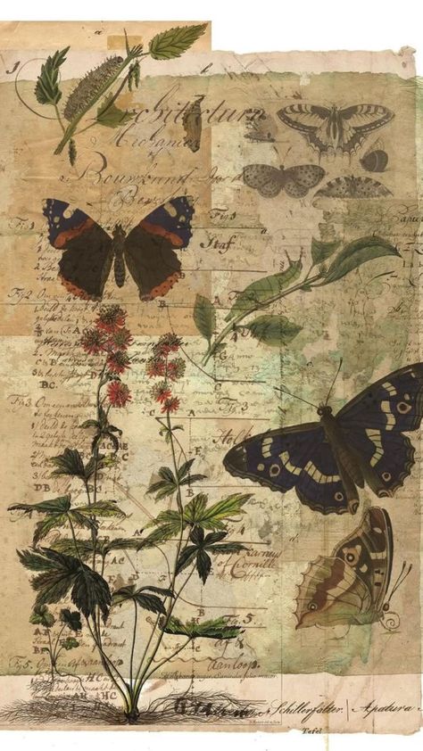 Butterfly Collage, Grafika Vintage, Visuell Identitet, ポップアート ポスター, Seni Vintage, Butterflies And Flowers, Foto Tips, Picture Collage Wall, Poster Minimalist