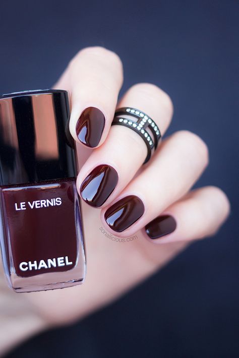 chanel rouge noir \\ the most popular dark red nail polish in the world Dark Acrylic Nails, Dark Red Nail Polish, Nails September, Dark Nail Polish, Chanel Nail Polish, Dark Red Nails, Chanel Nails, Nagellack Trends, Chanel Rouge