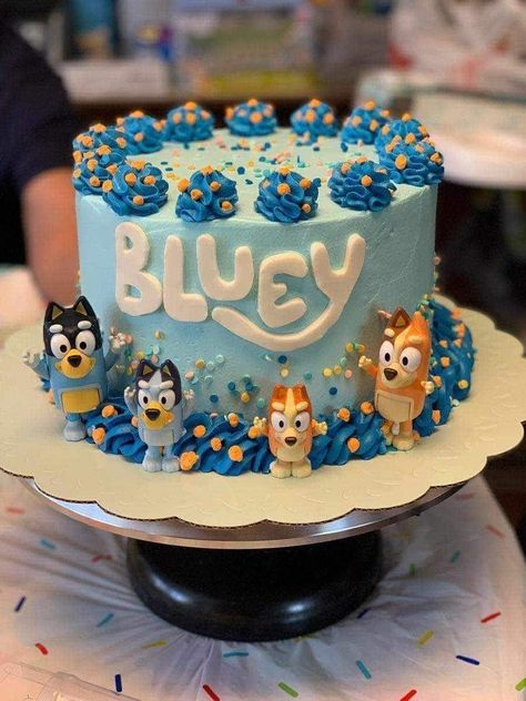 Easy Bluey Birthday Cake, Simple Bluey Cake Ideas, Bluey Cake Ideas Easy, Bluey Cake Ideas Birthday Boy, Bluey Birthday Cake For Boys, Bingo Cake Ideas, Bluey Sheet Cake, Bluey Themed Cake, Bluey Cake Ideas