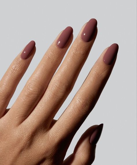 Normal Nail Paint Ideas, Solid Color Manicure Ideas, Solid Colours Nails, Back To School Nails Solid Colors, Fall Nails No Chip, Solid Fall Color Nails, Single Nail Colors, Solid Colour Gel Nails, Nails Inspiration Solid Color