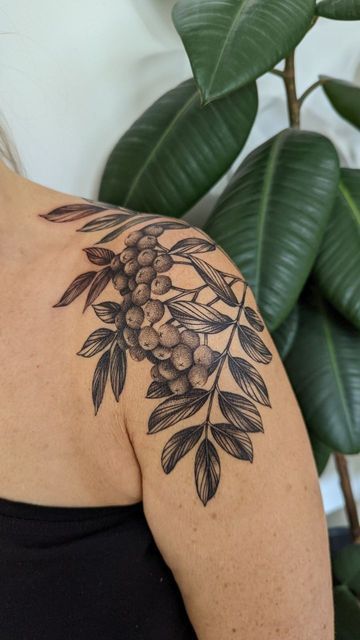 Shoulder Nature Tattoo, Beech Leaf Tattoo, Botanical Shoulder Cap Tattoo, Nature Shoulder Tattoo, Botanical Shoulder Tattoo, Leaf Shoulder Tattoo, Tree Tattoo Bicep, Rowan Tree Tattoo, Tree Shoulder Tattoo