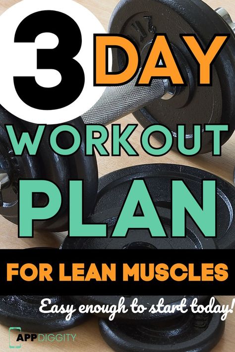 3 Day Workout Plan, Gym Weekly Workout Plan, Lean Muscle Workout, Gym Workouts For Women, Weekly Gym Workouts, Split Workout Routine, 3 Day Workout, Day Workout Plan, Lean Workout