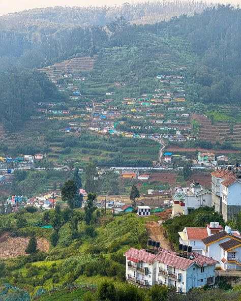 Postcards from Ooty & Coonoor 🌿🌻❤️ Let me know which one’s your favourite 😍✨ . . . #postcardplaces #hillstationsofindia #ooty #ootydiaries #ootytrip #ooty❤ #ootydays #coonoor #coonoordiaries #natgeoyourshot #natgeotravel #travelrealindia #travelphotography #travelawesome #hillstationofindia #indiapictures #indiatravelgram #shotoniphone #shotoniphone15pro Coonoor Hill Station Photography, Pics Of Ooty, Ooty Hill Station Snaps, Coonoor Hill Station, Ooty India Photography, Ooty Hill Station, Ooty Trip, Good Evening Greetings, Holiday Travel Destinations