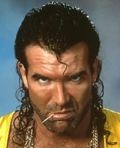 90s Wrestlers, Best Wwe Wrestlers, Hall Pictures, Stephanie Mcmahon Hot, Jake The Snake Roberts, The Clique, Scott Hall, World Championship Wrestling, Watch Wrestling