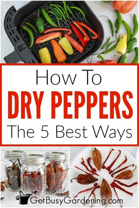 Drying Hot Peppers In The Oven, How To Dehydrate Hot Peppers, How To Dry Chilli Peppers, How To Dehydrate Chili Peppers, How To Preserve Fresh Hot Peppers, Drying Cayenne Peppers In Oven, How To Dry Chillies, How To Dehydrate Cayenne Peppers, How To Dehydrate Green Peppers