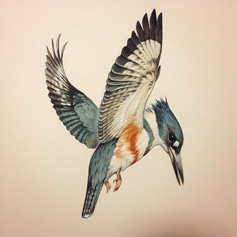 Flying Kingfisher, Kingfisher Tattoo, Kingfisher Illustration, Kingfisher Art, Kingfisher Bird, Bird Sketch, Envelope Art, Bird Artwork, Birds Tattoo