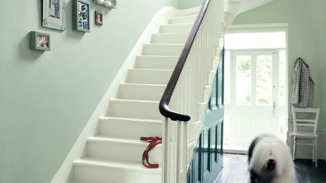 Shades of Green Hallways – Ideas | Dulux Hall Stairs And Landing Decor Colour, Green Paint Hallway Ideas, Dulux Willow Tree Bedrooms, Staircase Wall Paint, Green Hallway Paint, Green Hallways, Dulux Willow Tree, Dulux Green Paint, Stair Cupboard