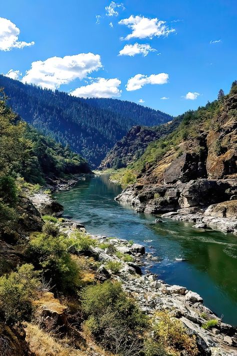 Oregon's Rogue River, fron reddit. Lakes And Rivers, Mountains With River, Rogue River Oregon, River Scenery, River Flow, River Stream, River View, Mountain River, Forest River