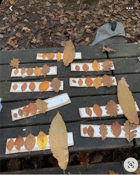 Forest Activities For Kids, Autumn Eyfs Activities, Forest Activities, Autumn Eyfs, Høstaktiviteter For Barn, Maluchy Montessori, Forest School Activities, Fall Preschool Activities, Eyfs Activities