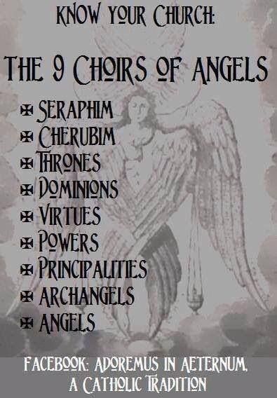 9 Choirs Of Angels, Choirs Of Angels, Catholic Beliefs, Angel Prayers, Faith Formation, San Michele, Religious Education, Catholic Quotes, Catholic Prayers