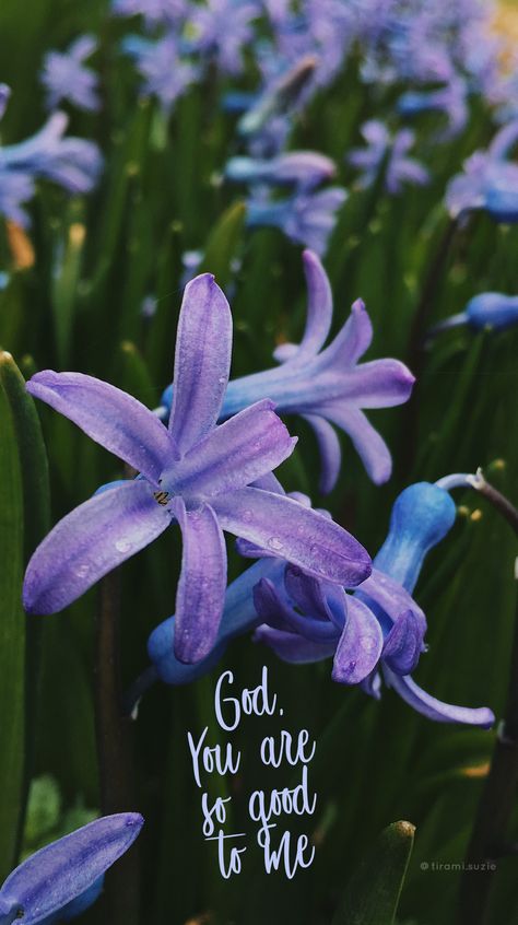 God, You are so good to me💜 God You Are So Good To Me, Plain Pictures, Gratitude Wallpaper, Simple Reminders Quotes, Backgrounds Computer, Reminders Quotes, Disney Quote Wallpaper, Spring Flowers Wallpaper, Maya Quotes