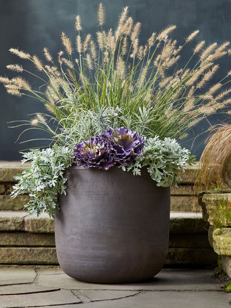 Front Porch Planters Fall, Autumn Pots Outdoor Uk, Autumn Planter Ideas Uk, Fall Planter Decorating Ideas, Fall Tall Planter Ideas, Grass Plants In Pots, Fall Outdoor Flowers, Grasses In Containers, Fall Containers Planters