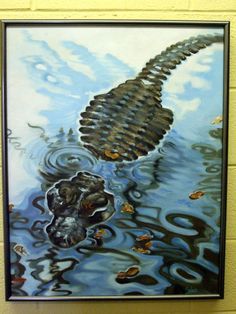 Alligator on Pinterest | Alligators, Painted Toms and Black Canvas Alligator In Water, Underwater Drawing, Alligators Art, Cypress Knees, Heron Art, Caribbean Style, Florida Art, Paint Nite, Framed Oil Painting